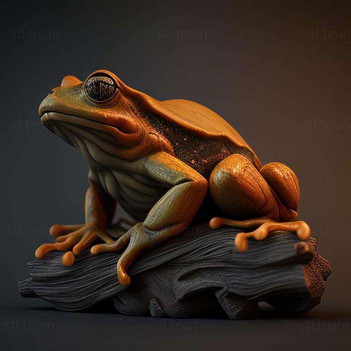 Animals frog 3d model